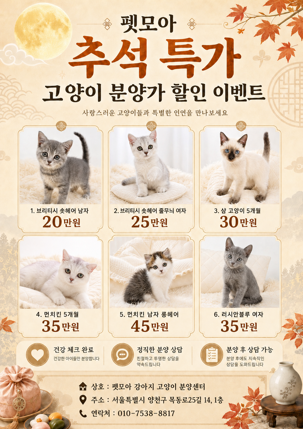 펫모아 추석 특가 고양이 분양 할인 이벤트