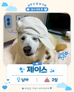 진도믹스