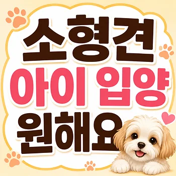 닥스훈트