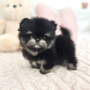 말티폼, 이름 말티폼 제제