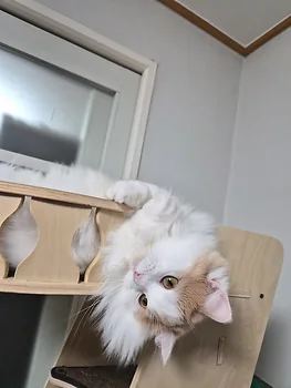 먼치킨