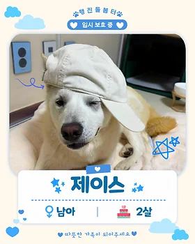 진도믹스