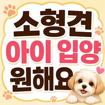 닥스훈트