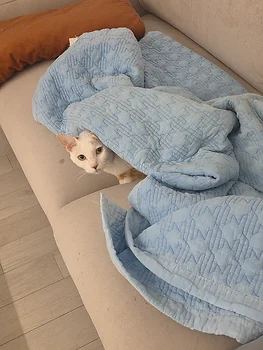 코리안숏헤어, 이름 한국 고양이