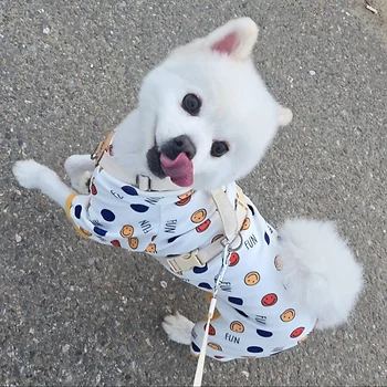 폼피츠