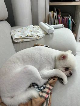 폼피츠