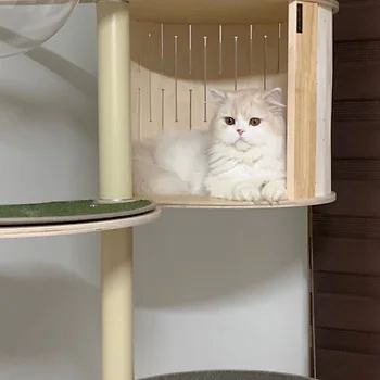 페르시안