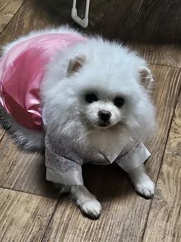 포메라니안