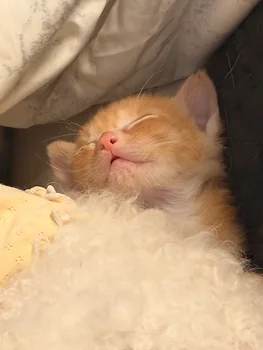 모름