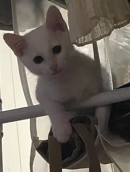 모름