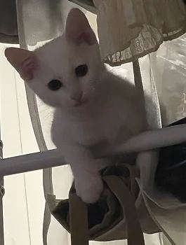 모름
